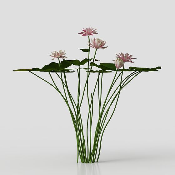Realistic 3D Water Lily Model for Creative Projects
