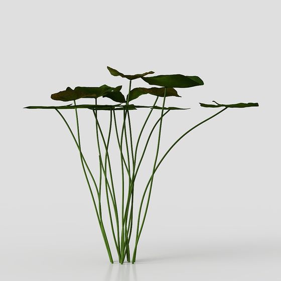 Vibrant Tropical Plant 3D Model for Creative Projects