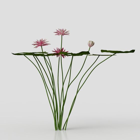 Lotus Plant Bundle 3D model