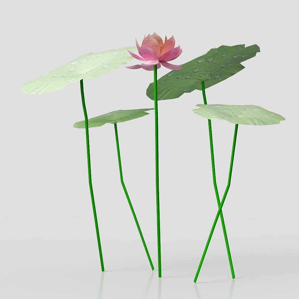 Lotus Leaves and Flowers Low-Poly 3D model