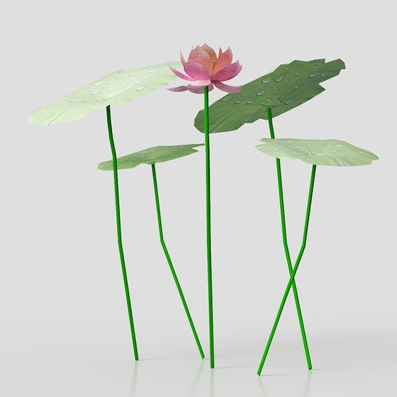 Lotus Leaves and Flowers Low-Poly 3D model