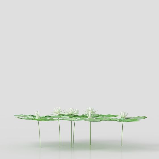 Lily Pond 3D model