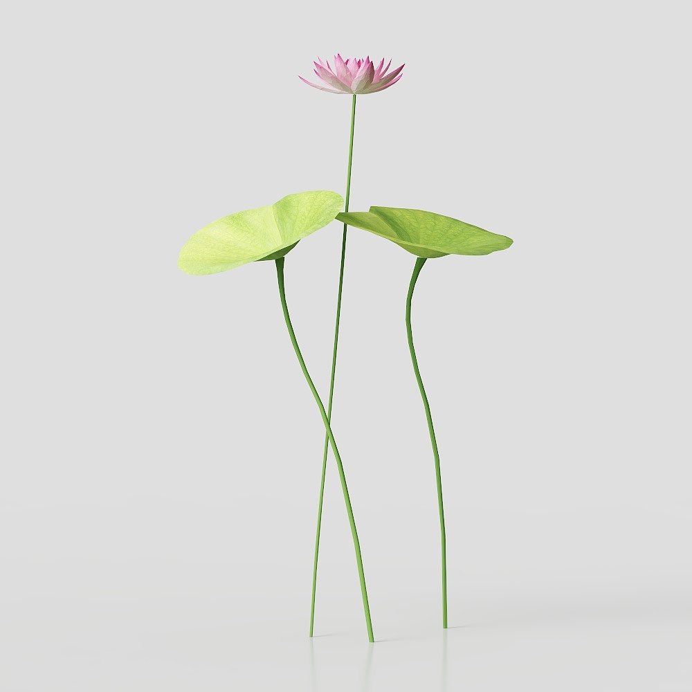 Water Spirit 3D Model - Elegant Lotus Flower