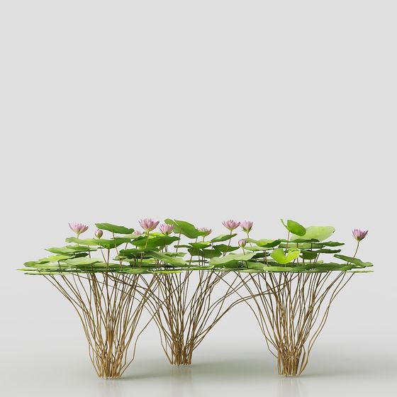 Lotus Pond 3D Model for Creative Projects