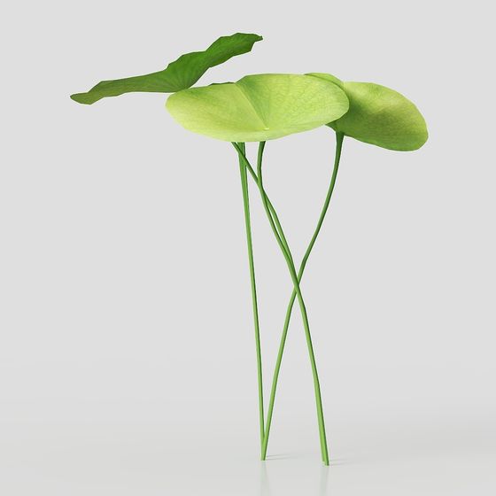 Lotus Leaf Trio Low-Poly 3D Model