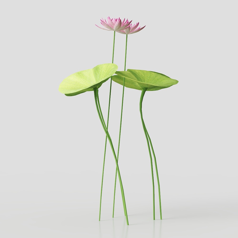 Water Lily 3D model - Serenity on the Lake