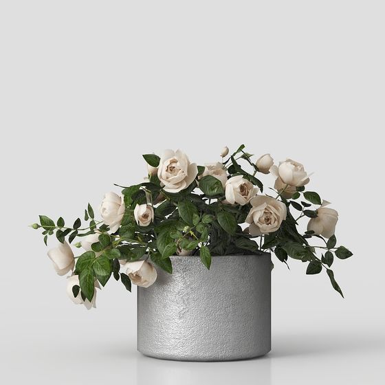 녹색 식물 화분 꽃