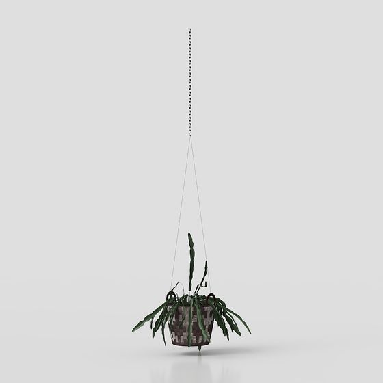 Hanging Plant 3D Model Bringing Nature Indoors