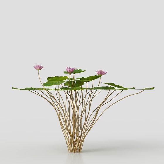 Lotus Aquatic Plants 3D model for Creative Projects