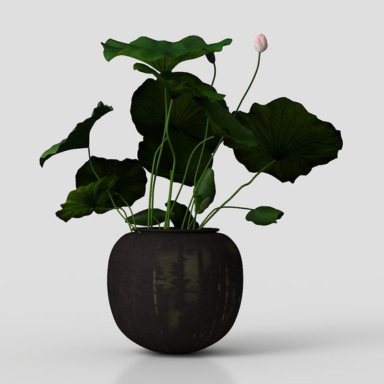 Lotus Potted Plant 3D model for Creative Designs