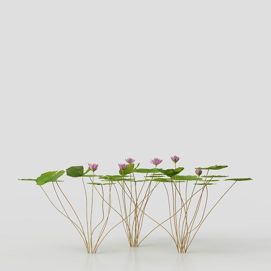 Water Lily Plant Group 3D Model for Natural Designs