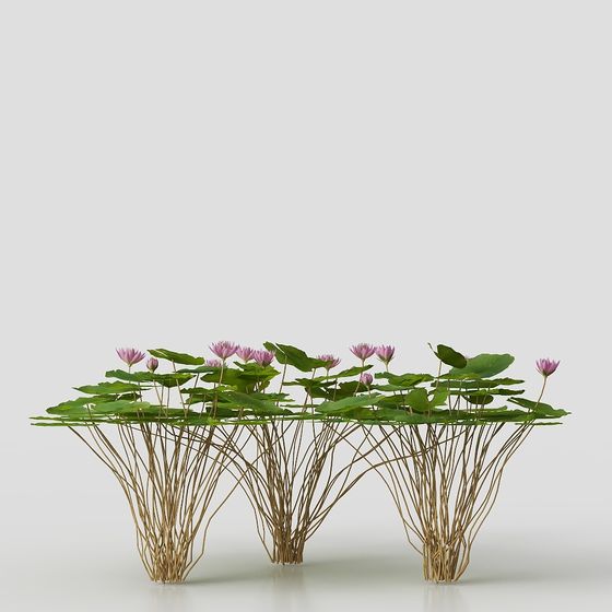 Water Plant 3D Model for Tranquil Spaces