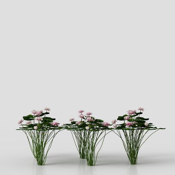 Lily Pond Dreams 3D model