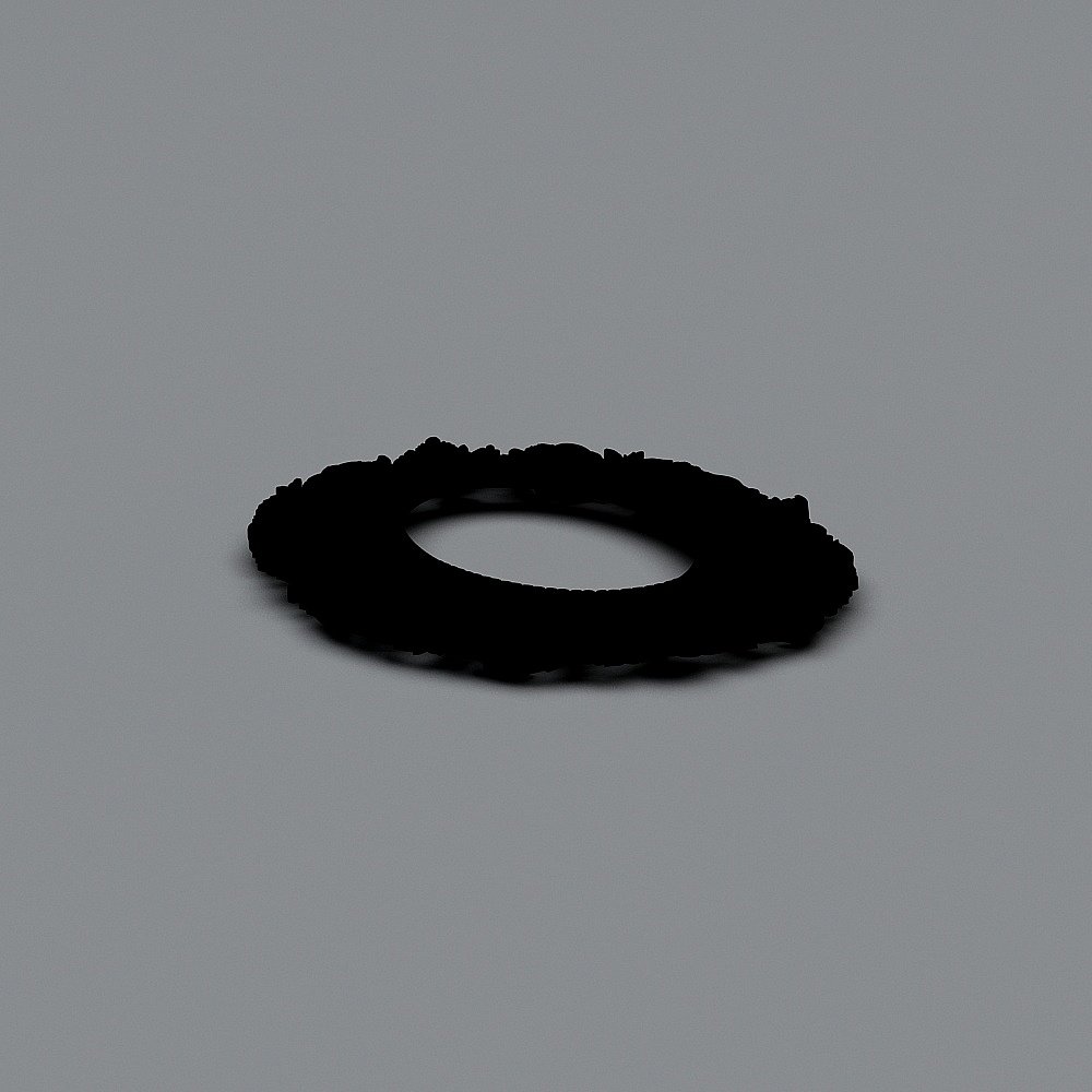 Enigmatic Ring Puzzle 3D model