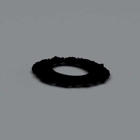 Enigmatic Ring Puzzle 3D model