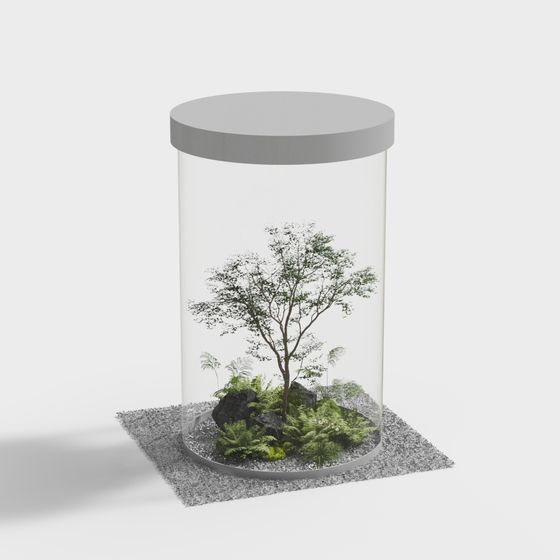 Natural Wonders in a Glass Vase 3D model