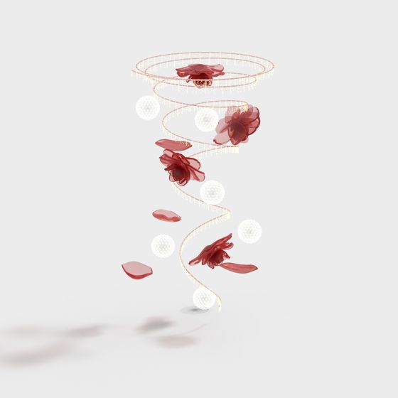 Petal Vortex 3D Model