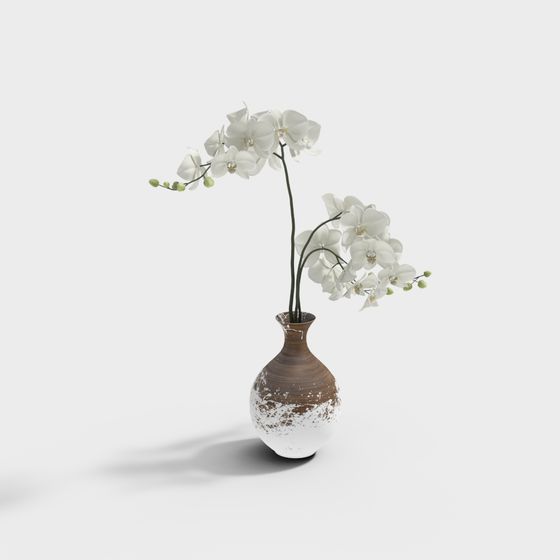 Orchid Serenity 3D model
