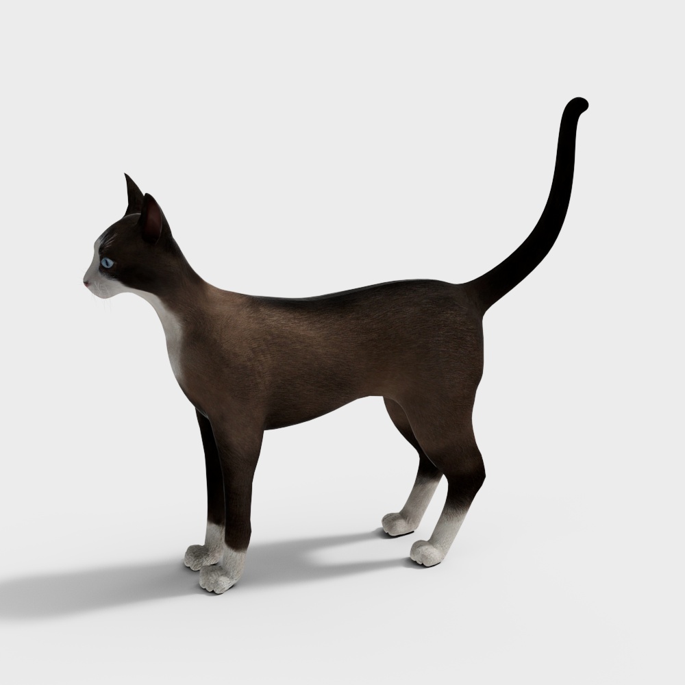 Elegant Low Poly Cat 3D model for Creative Projects