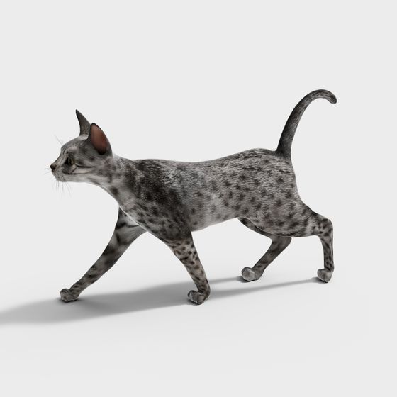 Realistic Gray Spotted Cat 3D Model for Creative Projects