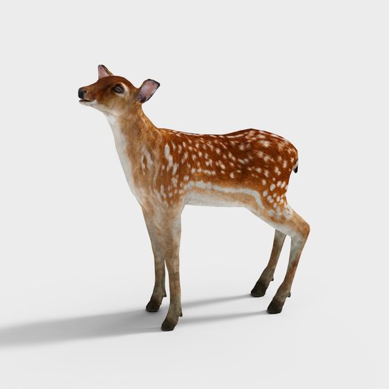 Realistic Low-Polygon Deer 3D model