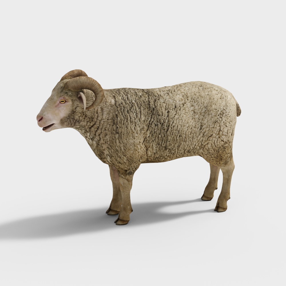 Realistic Low-Poly 3D Sheep Model