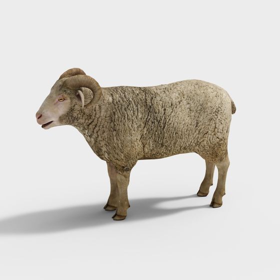 Realistic Low-Poly 3D Sheep Model