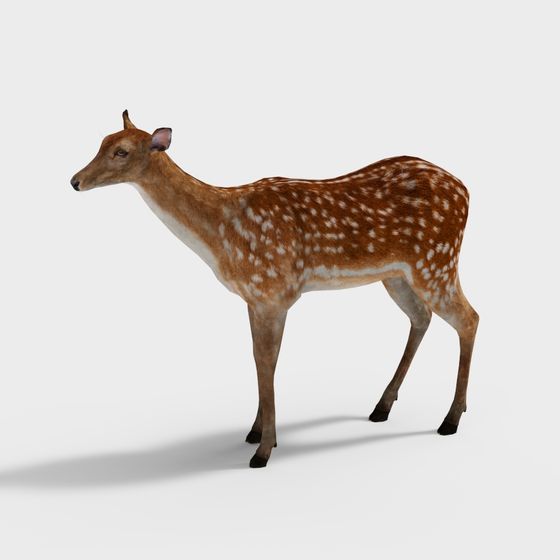 Forest Spirit 3D Model of a Fawn