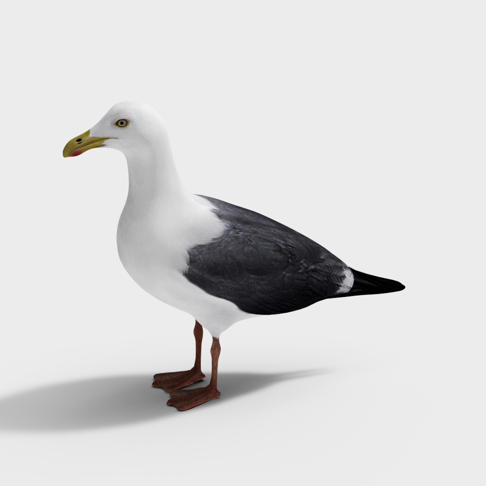 Realistic Seagull 3D model for Creative Projects