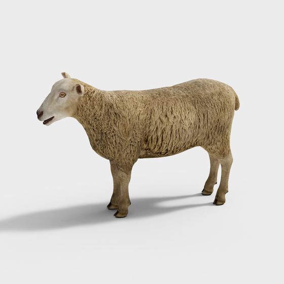 Realistic Sheep 3D model for Creative Projects