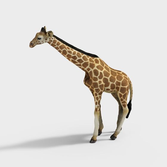 Realistic Giraffe 3D model for Creative Projects