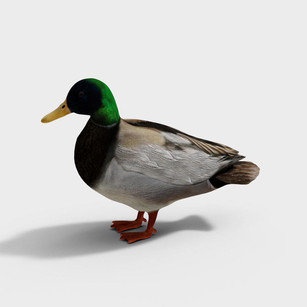 Realistic Green Duck 3D model