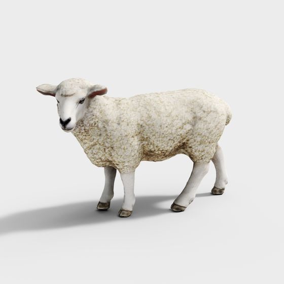 Realistic Low-Poly 3D Sheep Model