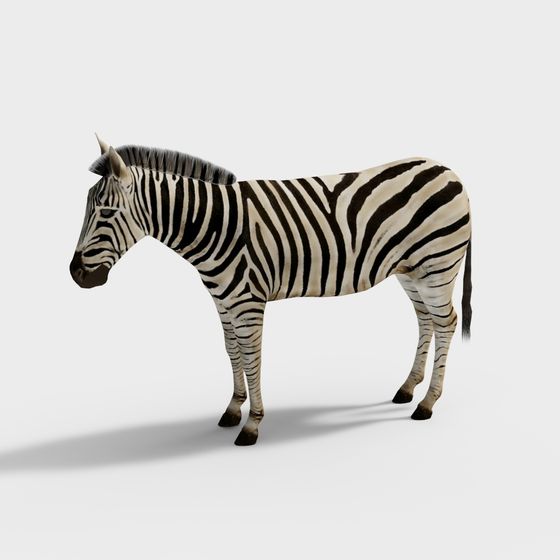 Lifelike Zebra 3D model for Creative Projects