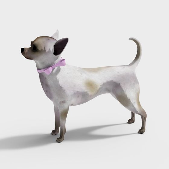 Charming Chihuahua 3D Model for Creative Projects