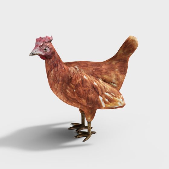Realistic Chicken 3D model for Creative Projects