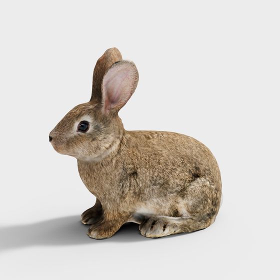 Forest Bunny 3D Model for Creative Projects