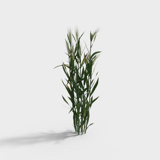 Lifelike Low-Polygon Wheat 3D Model for Creative Projects