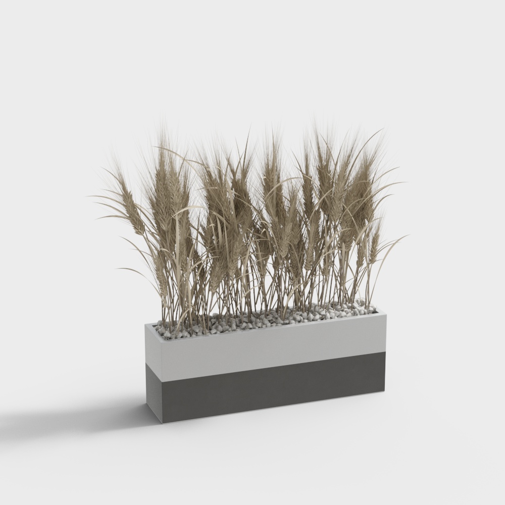 Realistic Wheat Garden 3D Model