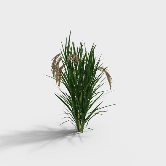 Scarecrow Low-Polygon High-Detail Plant 3D model