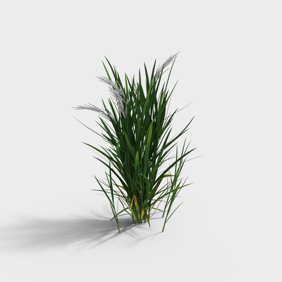 Vibrant Grass 3D Model for Natural Design Projects