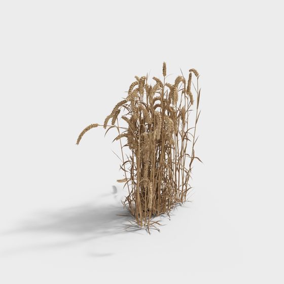 Realistic Golden Wheat 3D Model for Creative Projects