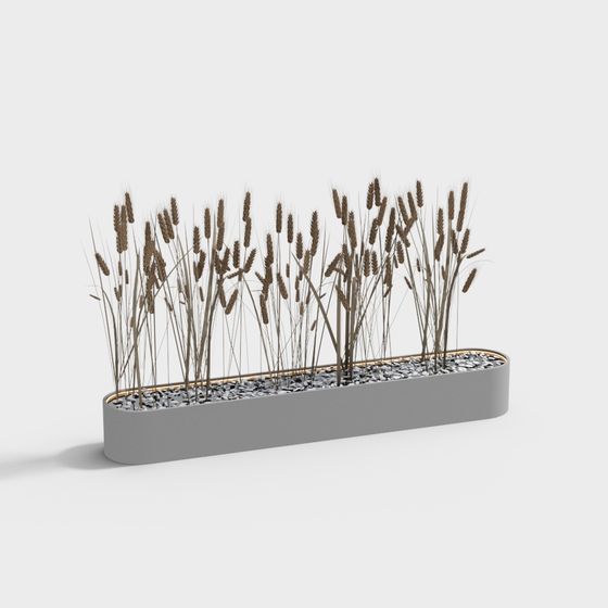 Décoration de plante d'épi de blé