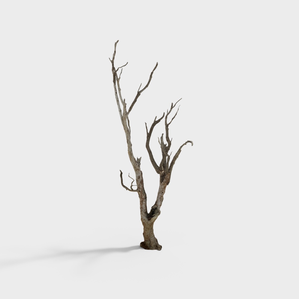 Unique Low Poly Dead Tree 3D model