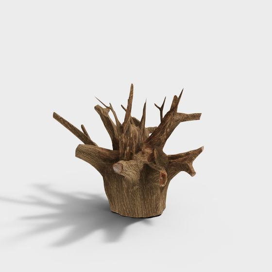 Ancient Tree Root 3D model