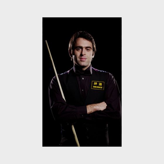 Poster of Billiards Hall 3D Model in Black
