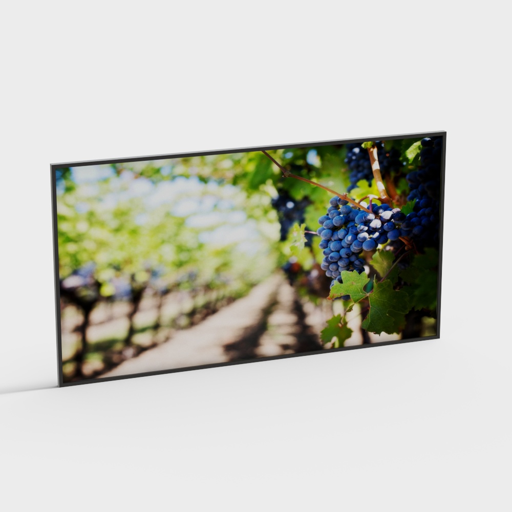 Vineyard Landscape 3D Model