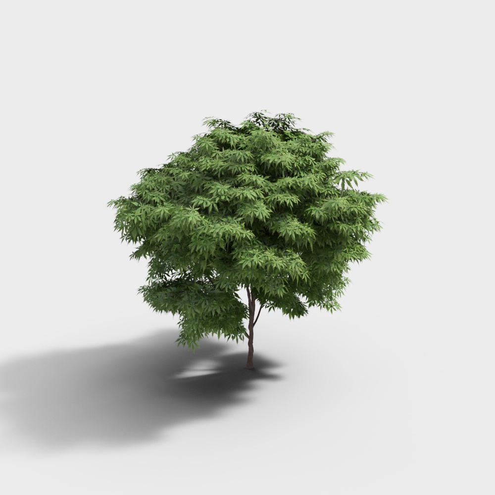 Tree 3-230828-YJ