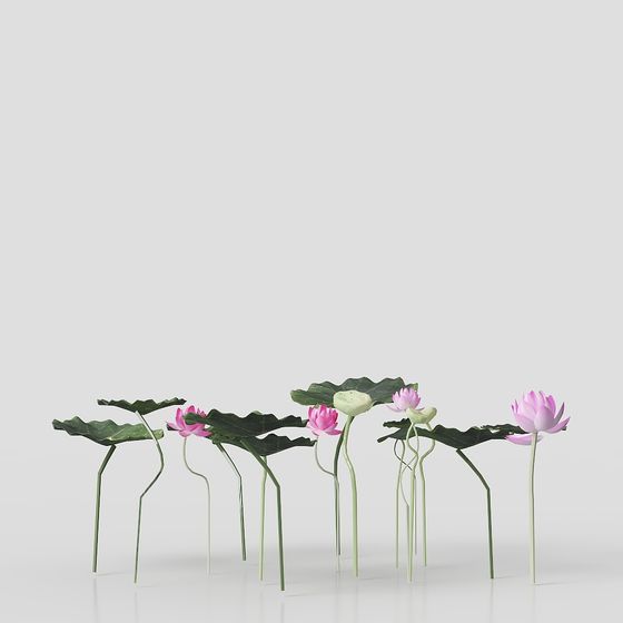 Lotus Leaves and Flowers Low-Poly 3D Model