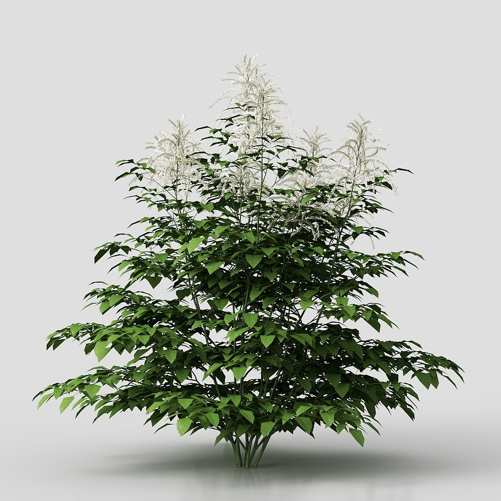 Shrub-Flower-10-230829-YJ